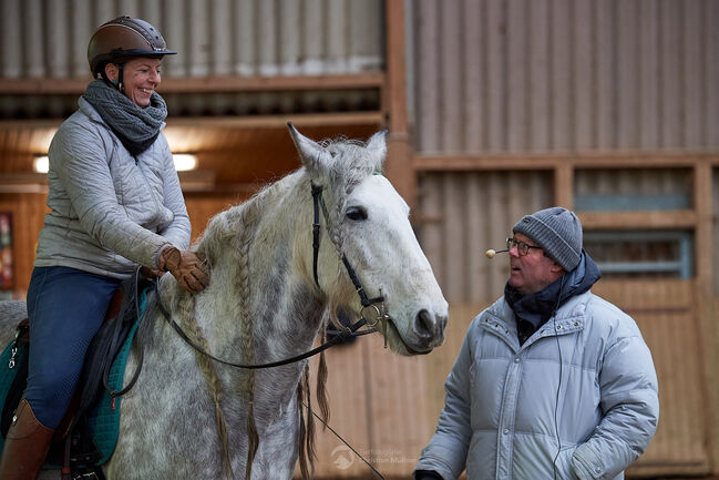 Reitunterricht, Doppellonge, Bodenarbeit, Beritt, Christiane Jenny Müller, Riding Lessons, Ergersheim, Image 10