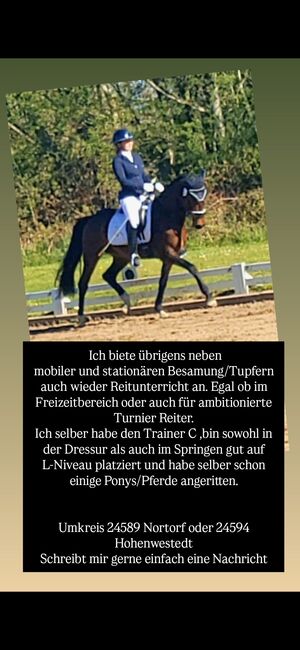 Reitunterricht, Issabelle Hahn , Riding Lessons, Hohenwestedt