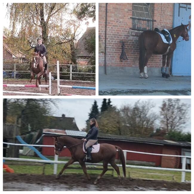 Reitunterricht, Saskia Rosche (Sliont Equine), Riding Lessons, Wittorf, Image 3