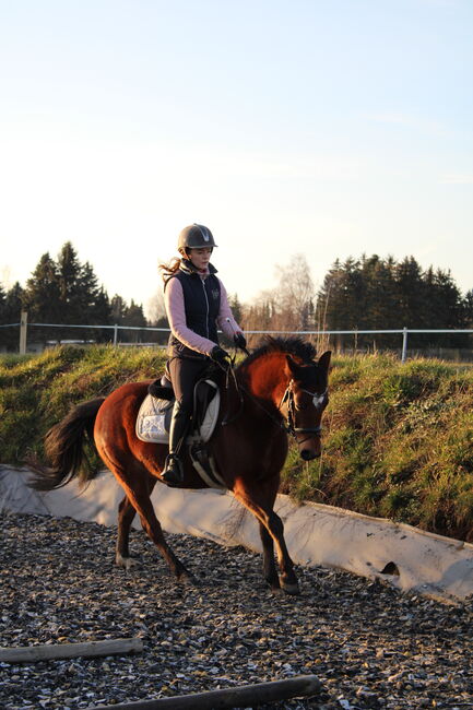 Reitunterricht Ponyzeit Einzelunterricht, Lisa, Riding Lessons, Limbach-Oberfrohna
