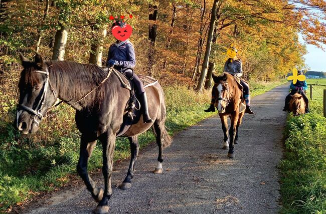 Reitunterricht Reittherapie Kindergeburtstag, Franzi, Riding Lessons, Ebsdorfergrund, Image 11