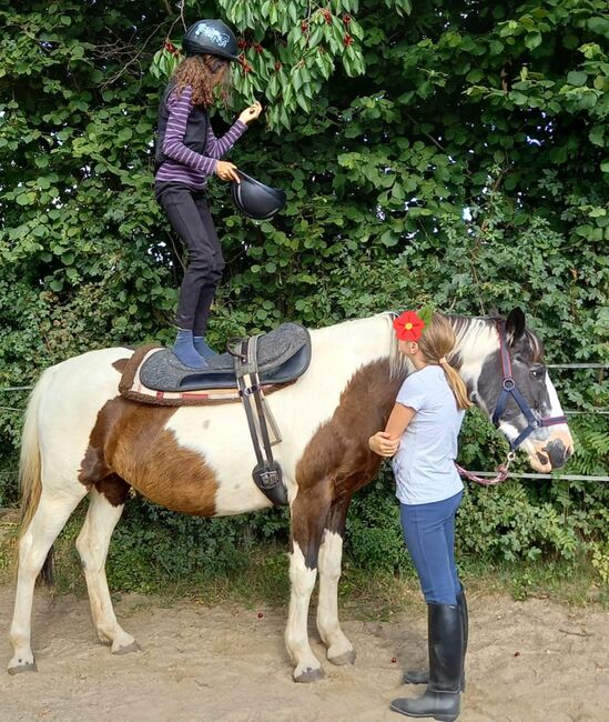 Reitunterricht Reittherapie Kindergeburtstag, Franzi, Riding Lessons, Ebsdorfergrund, Image 8