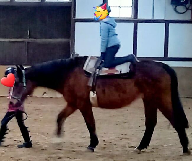 Reitunterricht Reittherapie Kindergeburtstag, Franzi, Riding Lessons, Ebsdorfergrund, Image 16