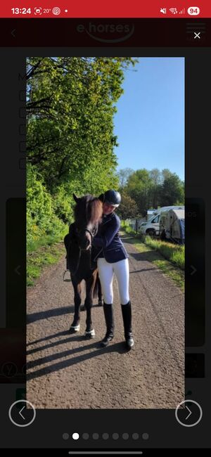 Reitbeteiligung auf liebenswertem Islandwallach in Hatzenbühl, Kathrin , Horse Sharing, Hatzenbühl , Image 3