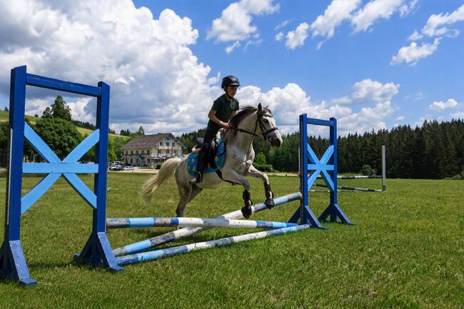 Reitpony 128cm, Cordula, Horses For Sale, Wien
