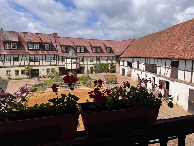 Reiturlaub für Erwachsene im romantischen Südharz, Gut Drebsdorf Südharz, Alexandra Schatz, Riding Holidays, Südharz OT Drebsdorf