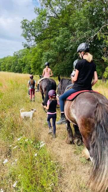 Reiterferien auf dem Reiterhof 🐎, Reiterferien / Reitunterricht / Reiterhof / Reitabzeichen Ferien / Ausbildung, Nancy Riesch, Riding Holidays, Werneuchen
