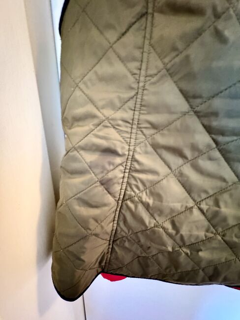 Reitweste XXL Lauria Garelli Army-Pink, Lauria Garelli , Heike, Riding Jackets, Coats & Vests, Alsbach-Hähnlein, Image 5