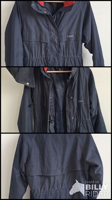 Reitjacke Aigle Gr S, Aigle, Sandra Hofmann, Riding Jackets, Coats & Vests, Dittellbrunn, Image 4