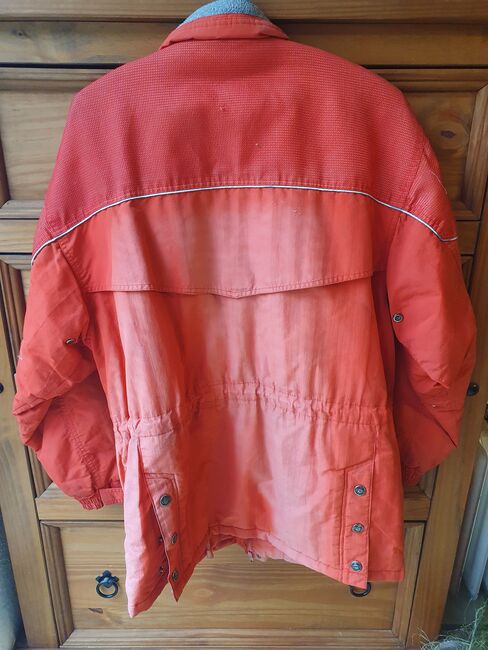 Reitjacke von DMS in rot, DMS, Heike, Riding Jackets, Coats & Vests, Körle, Image 2