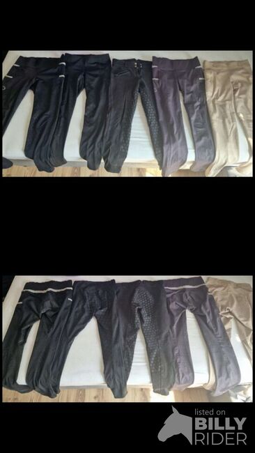 Reitleggins sommer u winter, Marion, Breeches & Jodhpurs, Arnoldstein , Image 3