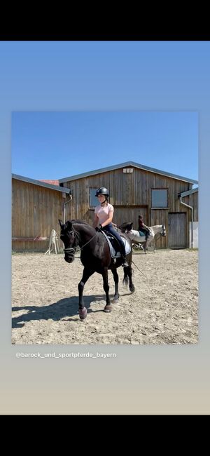 Reitunterricht für Kinder und Erwachsene, Adriane Schmedemann Reitschule, Riding Lessons, Schonstett , Image 5