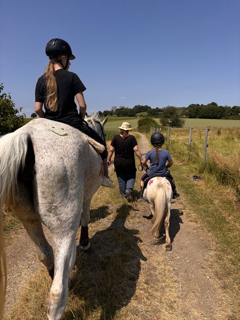 Reitunterricht für Kinder und Erwachsene, Adriane Schmedemann Reitschule, Riding Lessons, Schonstett , Image 6
