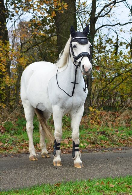 Kinder Reitstunden, Saskia Hielscher , Riding Lessons, Recke