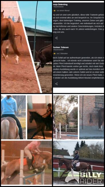 Reitunterricht, Saskia Rosche (Sliont Equine), Riding Lessons, Wittorf, Image 6