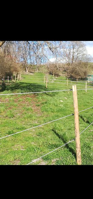 Reitbeteidigung, Sunbeam Ranch! , Riding Lessons, Kaufbeuren 