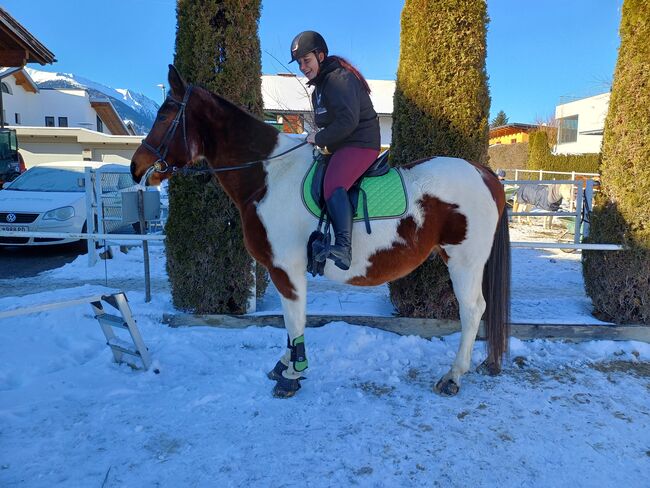 Reitbeteiligung, Sandra Rinker, Horse Sharing, Wattens, Image 7