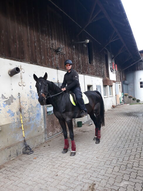 Reitbeteiligung, Michele, Horse Sharing, Hergensweiler