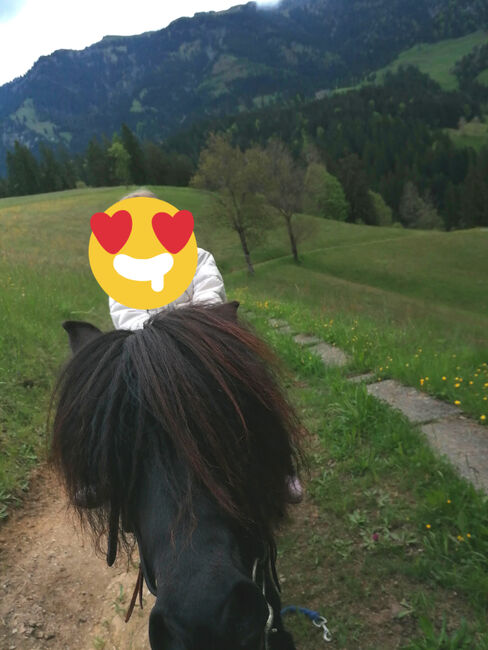 Reitbeteiligung, Dane, Horse Sharing, Escholzmatt, Image 4