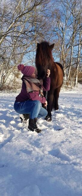 Reitbeteiligung, Romana, Horses For Sale, Schwechat