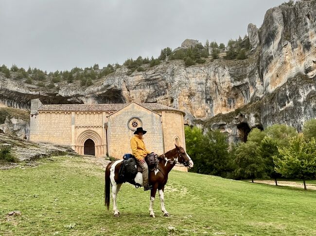 Wanderreiten, André Urfer, Horses For Sale, Reutigen 