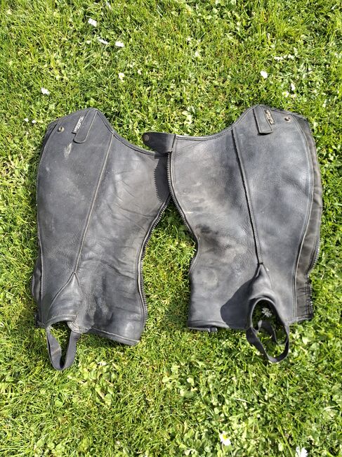 Reit Chaps 33/41, Kentaur , Privat , Half Chaps, Münzenberg 