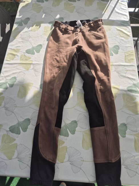 Reitpaket Kleider S-M, Tamara O., Breeches & Jodhpurs, Windisch