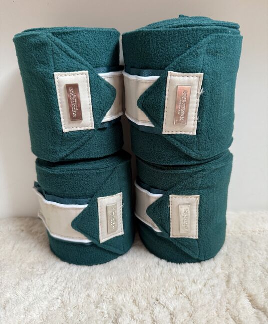 Equestrian Stockholm Cob, Equestrian Stockholm  Emeralde , Lara Weber , Dressage Pads, Andernach, Image 2
