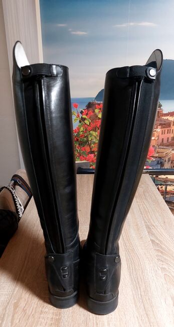 Reitstiefel Dressurstiefel Tricolore, Tricolore  AMABILE PRO02, Sascha Aksamit , Riding Boots, Wetzlar, Image 3