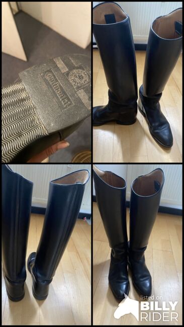 Damenreitstiefel von Continental, Continental, Hanna Kleer , Riding Boots, Rheinberg, Image 6