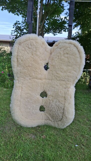 Fell Reitpad, Loesdau, Regina , Bareback pads, Bentwisch, Image 3