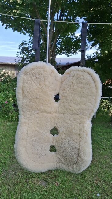 Fell Reitpad, Loesdau, Regina , Bareback pads, Bentwisch, Image 4