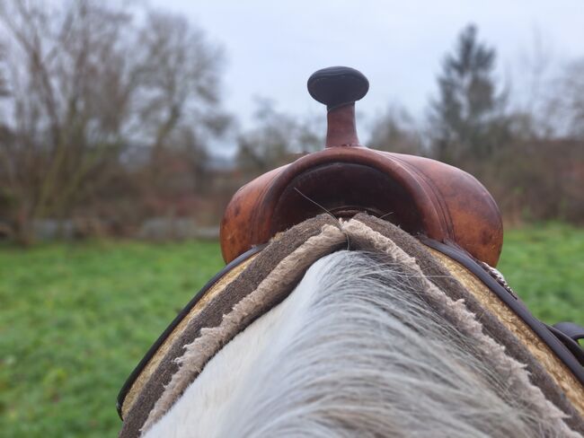 Rieser Westernsattel ca.64 cm lang KW ca.24 cm, Rieser , Johanna Kaiser, Western Saddle, Meyenburg , Image 11