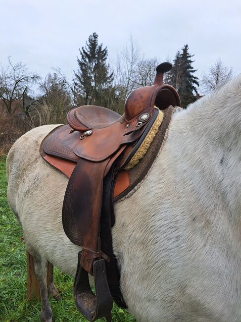 Rieser Westernsattel ca.64 cm lang KW ca.24 cm, Rieser , Johanna Kaiser, Western Saddle, Meyenburg , Image 10