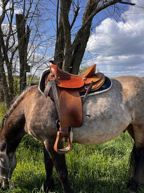 Rieser Westernsattel, Rieser Westernsattel , Frauke, Western Saddle, Wölfersheim