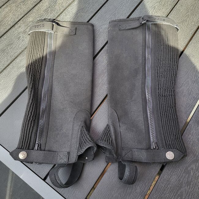 Reitchaps, Steeds , Jenny, Half Chaps, Bovenden-Harste