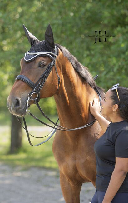 Reitbeteiligung gesucht (PsR), Marie , Horse Sharing, Karlsruhe, Image 3