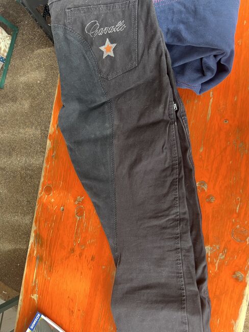 Reithosen, Größe 40, Jessica, Breeches & Jodhpurs, Crailsheim , Image 4