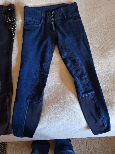 Reithose ,Vollbesatzt v.HORZE, HORZE, Claudia Berndt-Jakobi, Breeches & Jodhpurs, Jagel