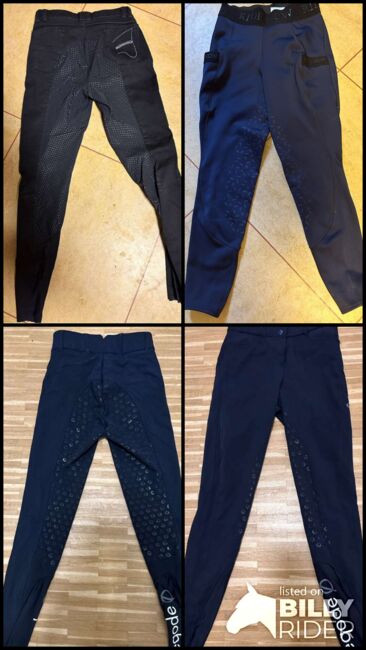 Reithosen zu verkaufen, Eqode/Ride now/ Euro Star Diverse , Francis joper, Breeches & Jodhpurs, Salzburg , Image 5