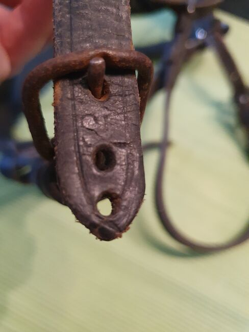 Fahrkopfstück kopfstück, Heike, Horse Harness, Körle, Image 2