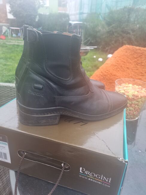 Reitstiefeletten Größe 40, Brogini  Trieste boots , Beate Rumpf , Jodhpur Boots, Rodgau 