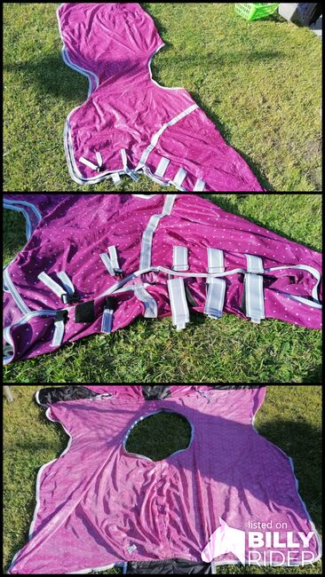 Ausreitfliegendecke, Franzi, Horse Blankets, Sheets & Coolers, Senftenberg, Image 4