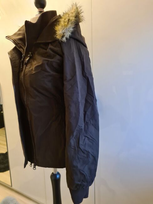 Reitjacke Steeds Braun Gr L, Steeds, Melanie , Riding Jackets, Coats & Vests, Nidderau 