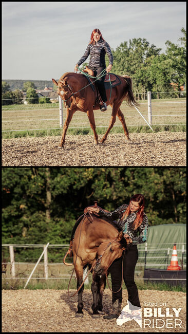 Reitkurse/Bodenarbeitskurse bei Ihnen auf dem Betrieb, Erlangen-Höchsatdt, Strong Together Horsetraining UG, Verena + Janina, Courses & Seminars, Gremsdorf, Image 3