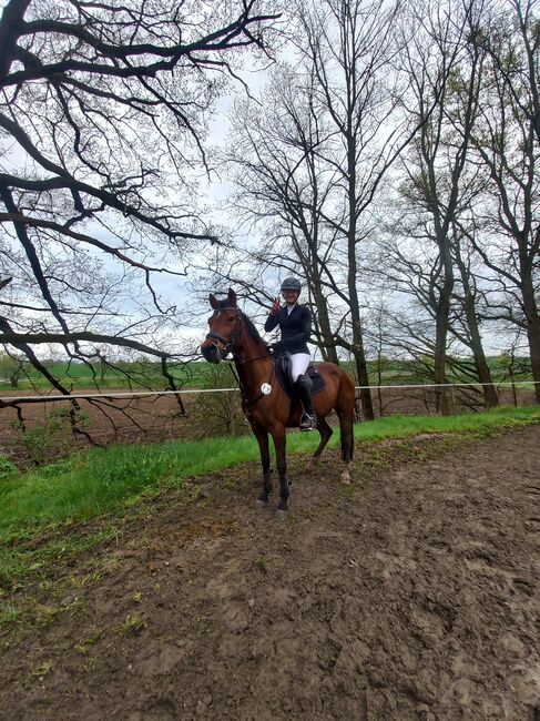 Reitpony/ Freizeitpferd *siebenjährig, 1,46m*, Laura , Horses For Sale, Lossatal , Image 3