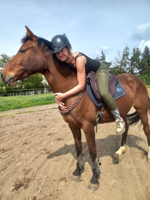 Reitpony/ Freizeitpferd *siebenjährig, 1,46m*, Laura , Horses For Sale, Lossatal , Image 10