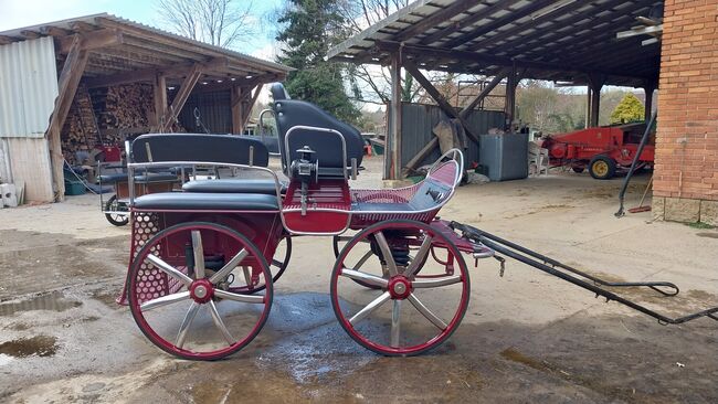 Kutsche,  Fahrschulwagen, Wagonette, Weiss, Carriages, Bückeburg , Image 5