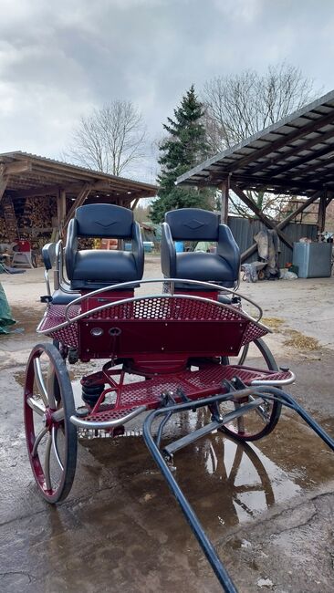 Kutsche,  Fahrschulwagen, Wagonette, Weiss, Carriages, Bückeburg , Image 3