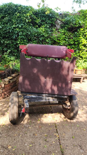 Kutsche für Bastler, Jana, Carriages, Nideggen , Image 11